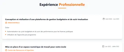 Je propose de vous faire votre porfolio professionnel